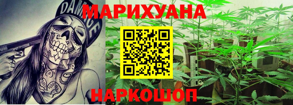 Бошки марихуана ГИДРОПОН Знаменск